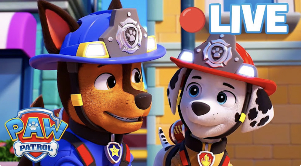 PAW Patrol rated Good Fit for ages 3–6 — Kidoio parental control for YouTube and streaming